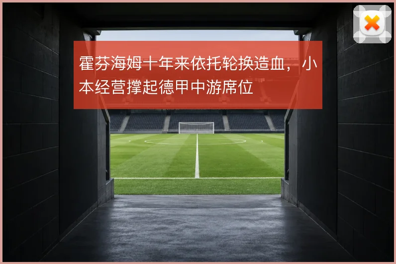 霍芬海姆十年来依托轮换造血，小本经营撑起德甲中游席位